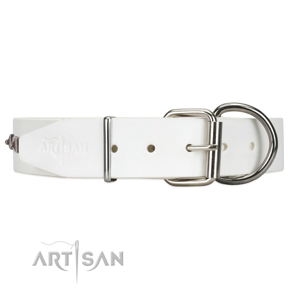 Leather dog collar with silver-like hardware