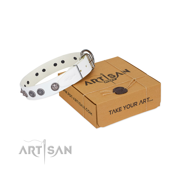 FDT Artisan decorated dog collar for daily use