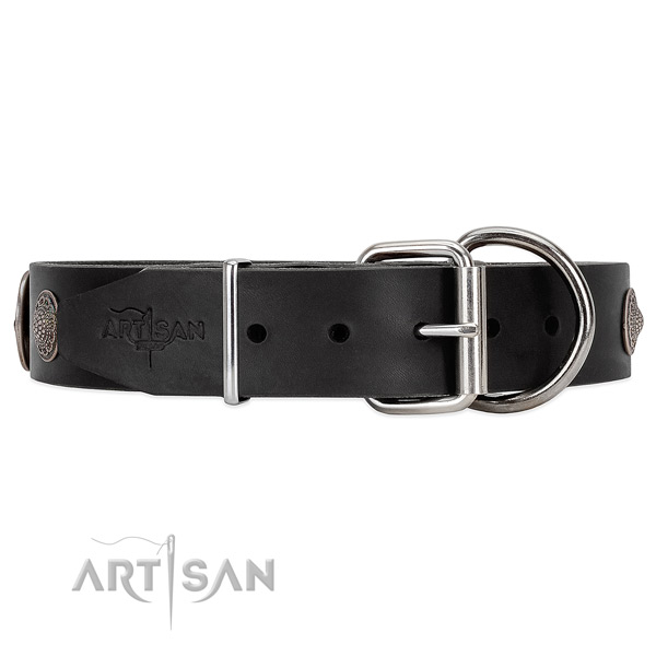 Unique style black leather dog collar with tough
fittings