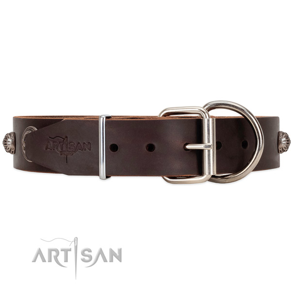 Unique style brown leather dog collar with tough
fittings