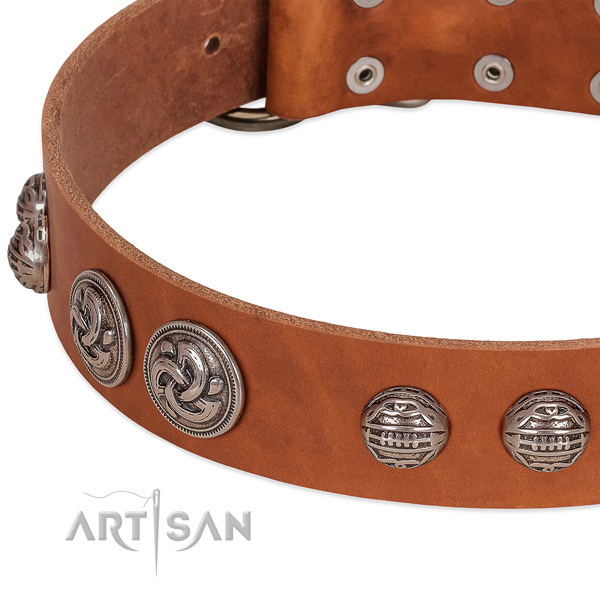 Reliable Hardware on Tan Leather Dog Collar