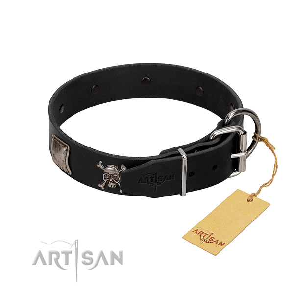 Designer Dog Collar Equipped with Rustproof Hardware