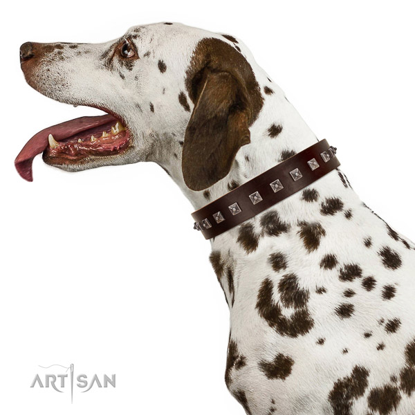 Walking top-notch quality walking leather Dalmatian
collar