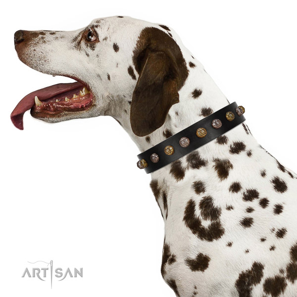 Dependable Dalmatian Artisan leather collar of optimal
width