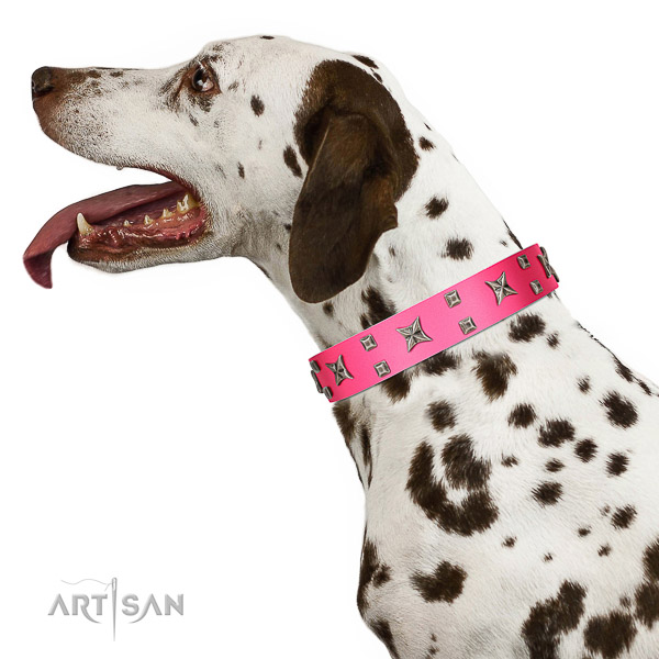 Elegant leather pink Dalmatian
collar