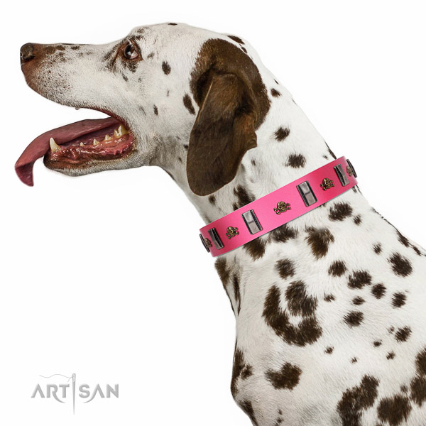 Decorated leather Dalmatian collar for comfortable
walking