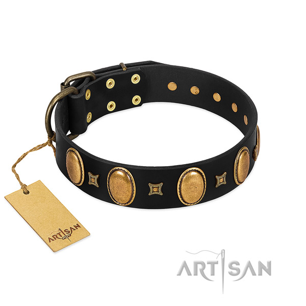 Exclusive FDT Artisan leather dog collar for daily
walking