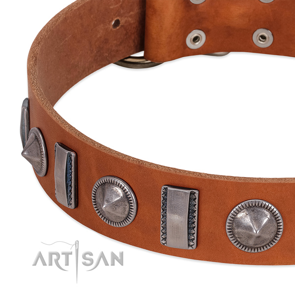 Tan leather dog collar with vintage decorations