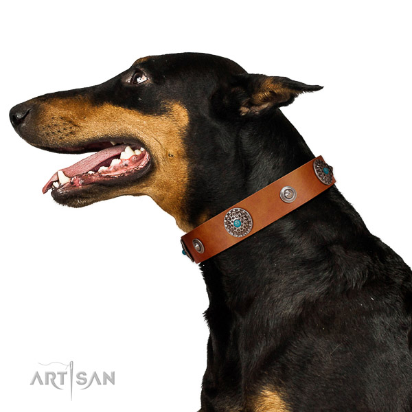 Best quality tan leather Doberman
collar