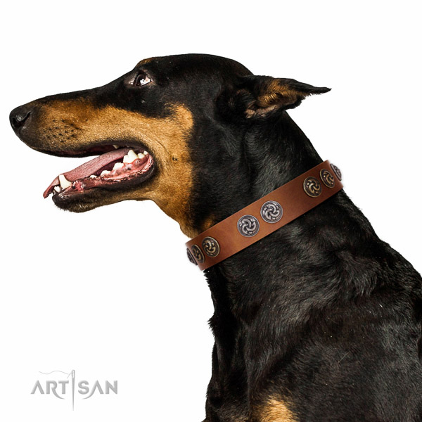 Walking top-notch quality walking leather Doberman
collar