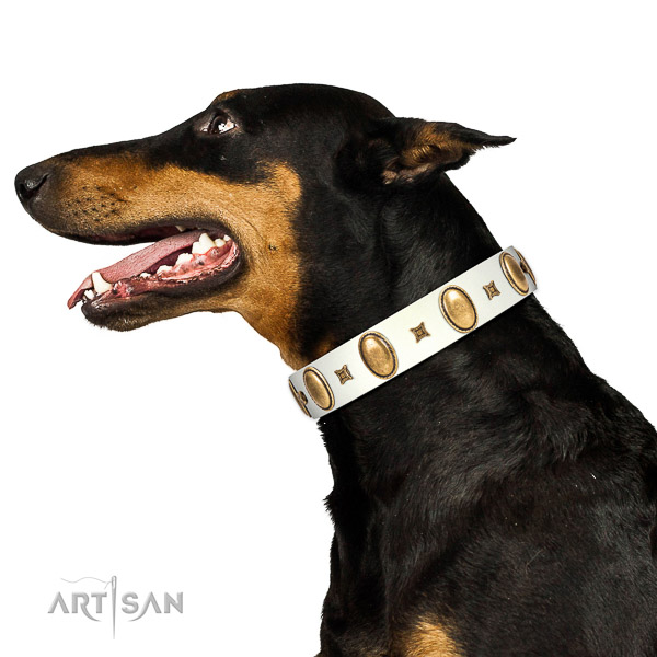 Walking top-notch quality walking leather Doberman
collar