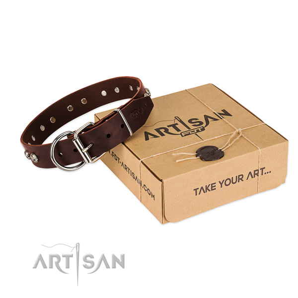 Brown Top Quality Dog Collar of Artisan Design