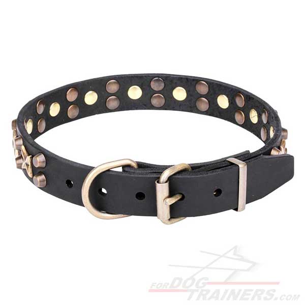 Designer Dog Collar with Brass Plated Hardware