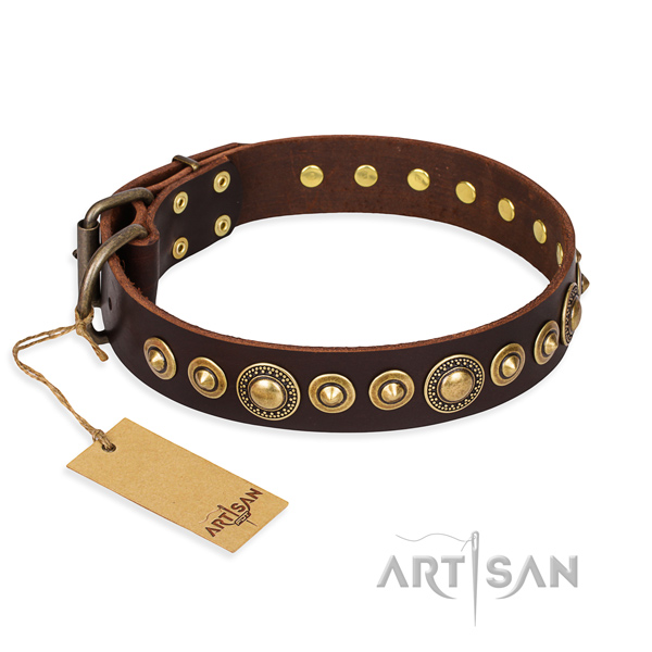 Stylish Dog Collar Adorned with Studs