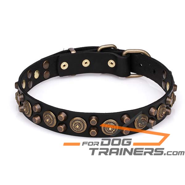 Stylish Dog Collar with Decor