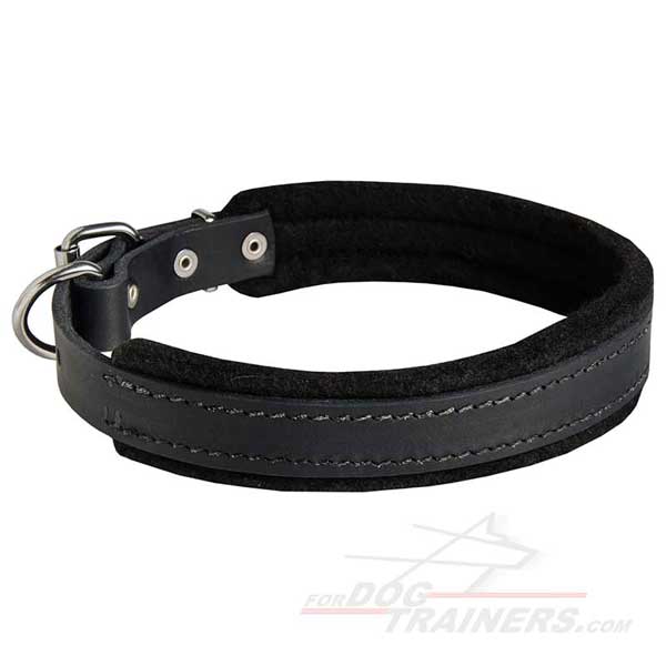 Leather Padded Dog Collar Carefully Stitched