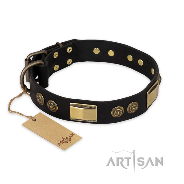 Stylish Dog Collar with Gold-Like Decor