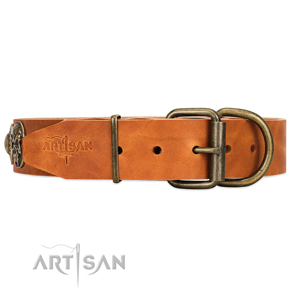 Comfy-to-adjust Buckle and D-ring on Daily Walking Dog Collar