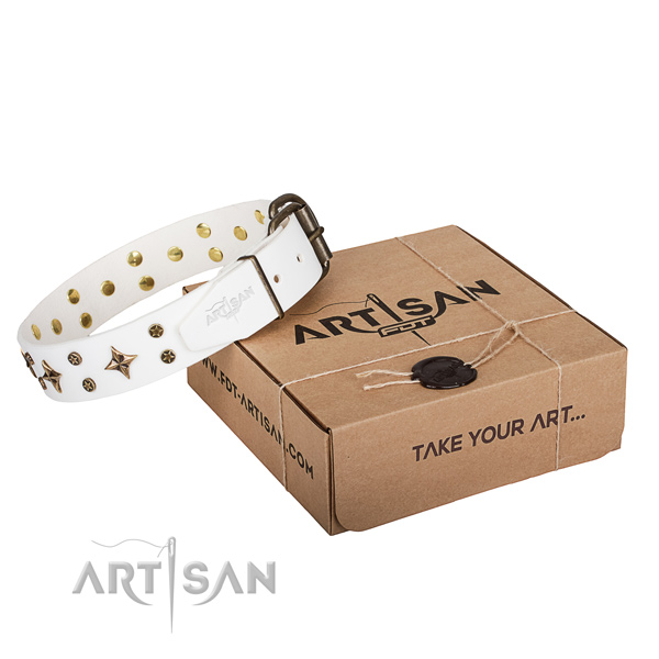 Stylish Dog Collar with Gold-Like Decor