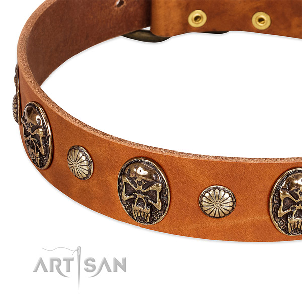 Old Bronze-like Plated Skulls and Tiny Studs handset on Dog Collar