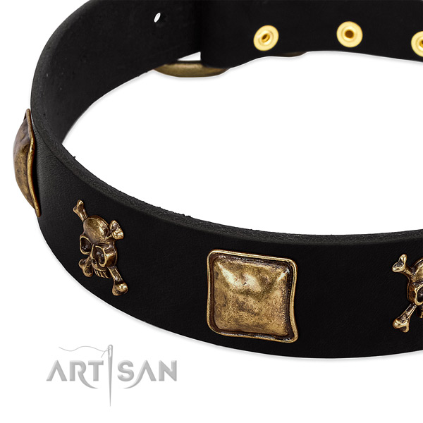 FDT Artisan dog collar adorned with skulls and crossbones
in combination with squares