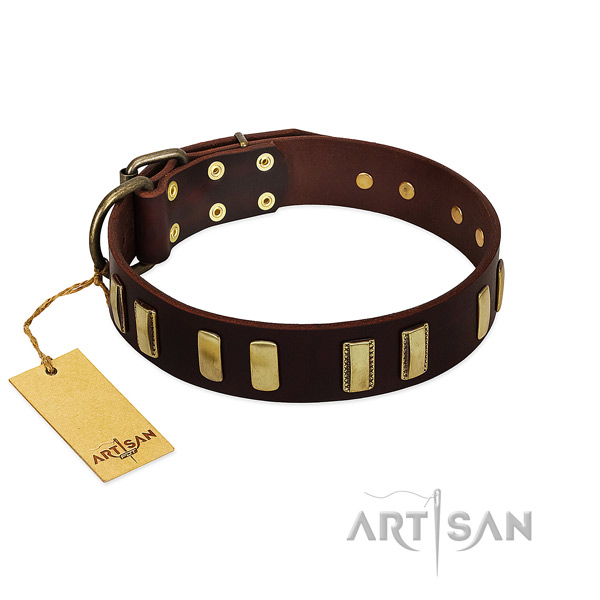 Trendy Dog Collar Decorated with Fashionable Oval Plates
and Tiles