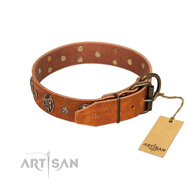 Tan dog collar with old bronze-like hardware