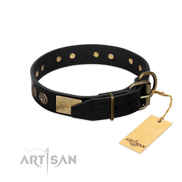 Walking dog collar with reliable fittings