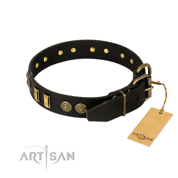 Black leather dog collar with old bronze-like plated fittings