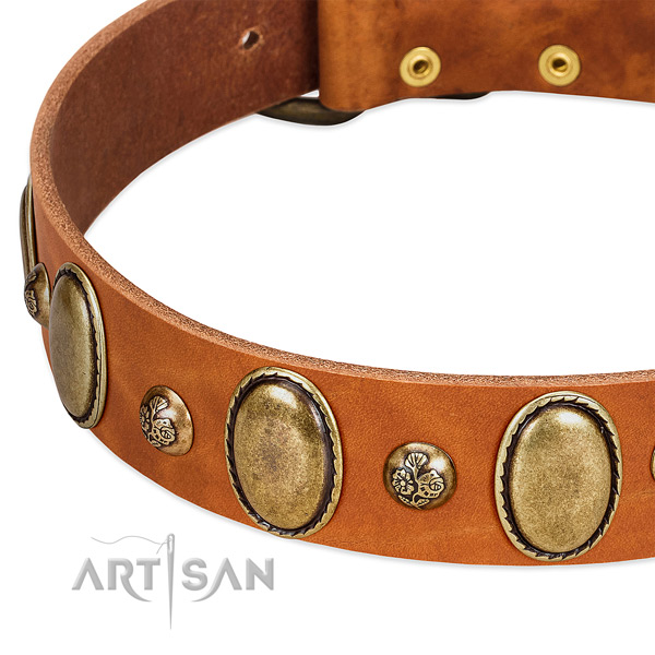 Tan leather FDT Artisan collar with oval and round
decorations