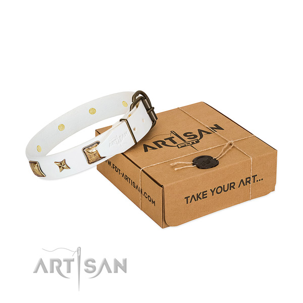 Elegant white leather dog collar for walking