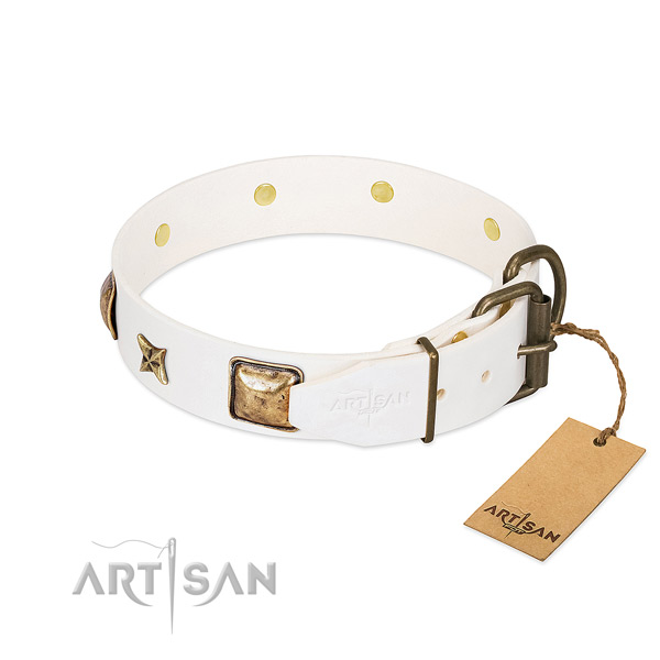 White dog collar with old bronze-like hardware