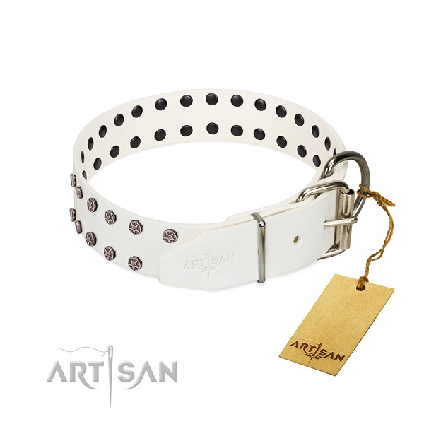 Fabulous FDT Artisan leather dog collar