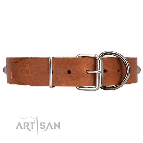 Easy to fix leather dog collar with chrome-plated hardware