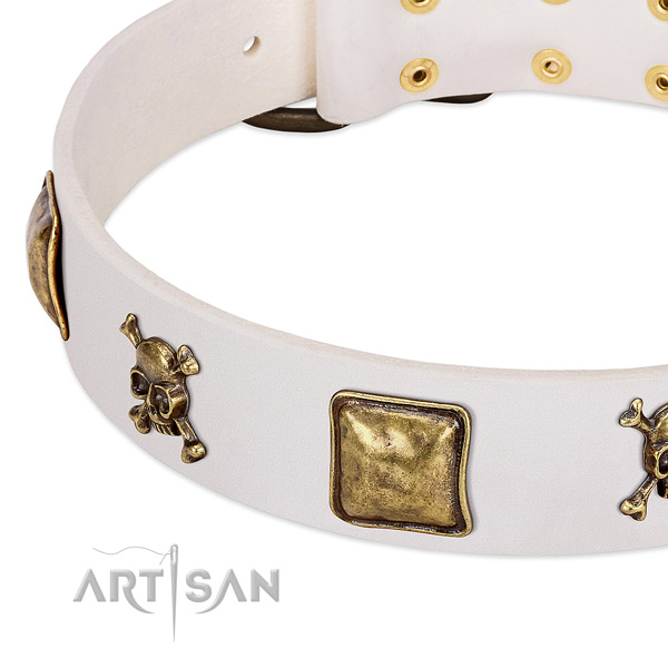 FDT Artisan dog collar adorned with skulls and crossbones
in combination with squares