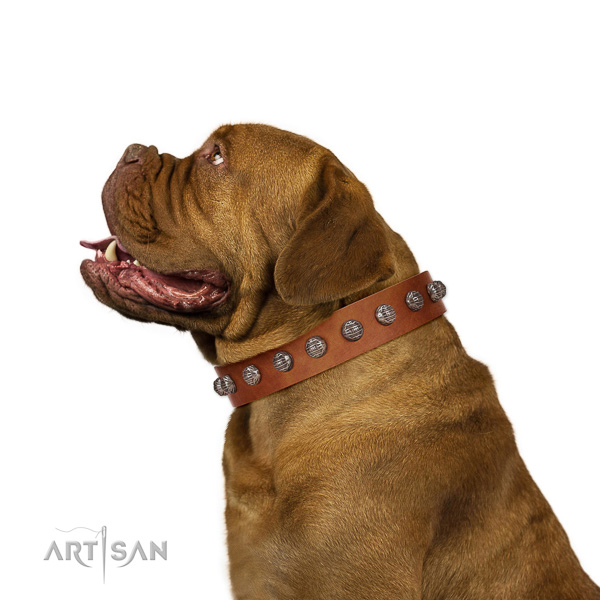 Walking top-notch quality walking leather Dogue de
Bordeaux collar