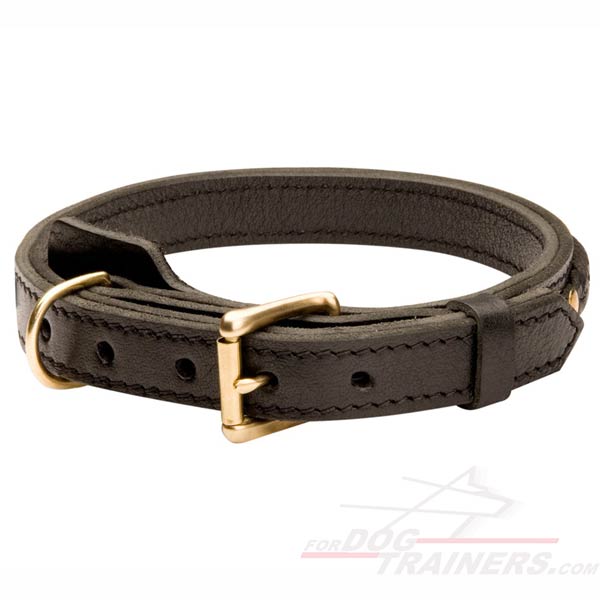 Multipurpose Leather Collar