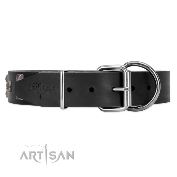 Leather dog collar with chrome plated hardware