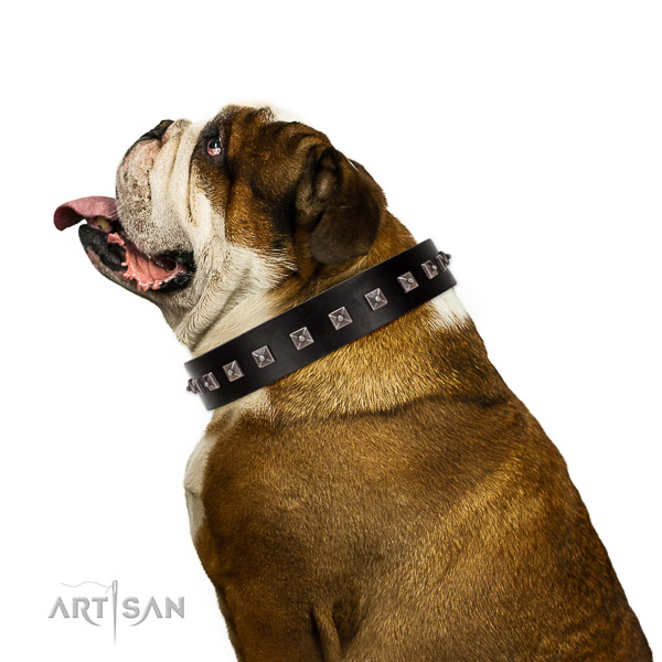 Walking top-notch quality walking leather English Bulldog
collar