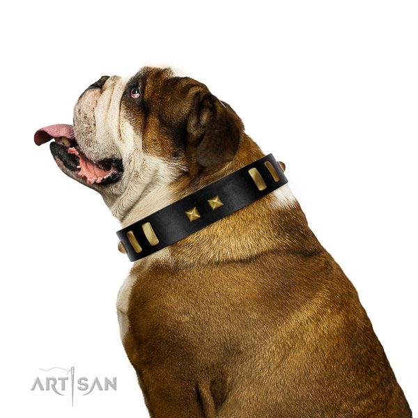 Gentle to Touch Genuine Leather Collar for English
Bulldog's Comfort