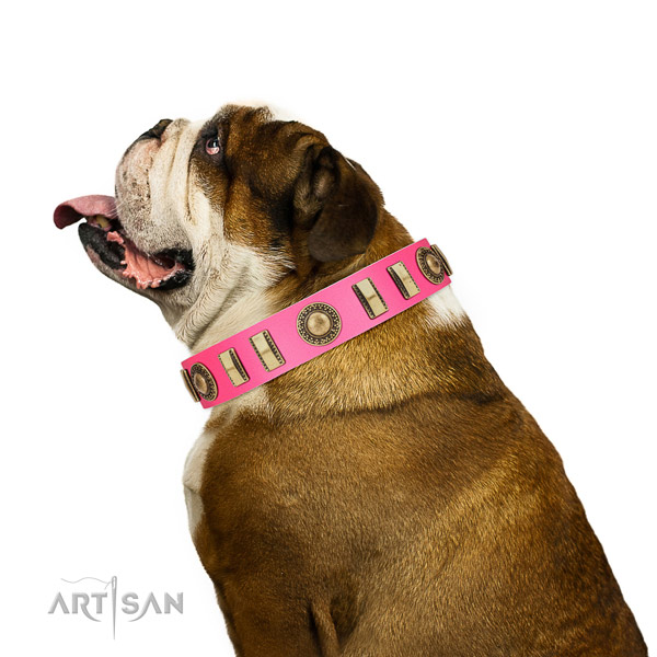 Dependable English Bulldog Artisan leather collar for
pleasant pastime