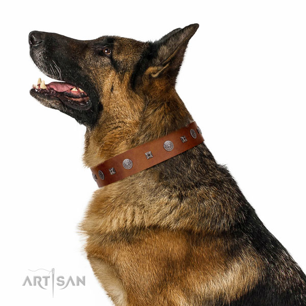 Walking top-notch quality walking leather German Shepherd
collar