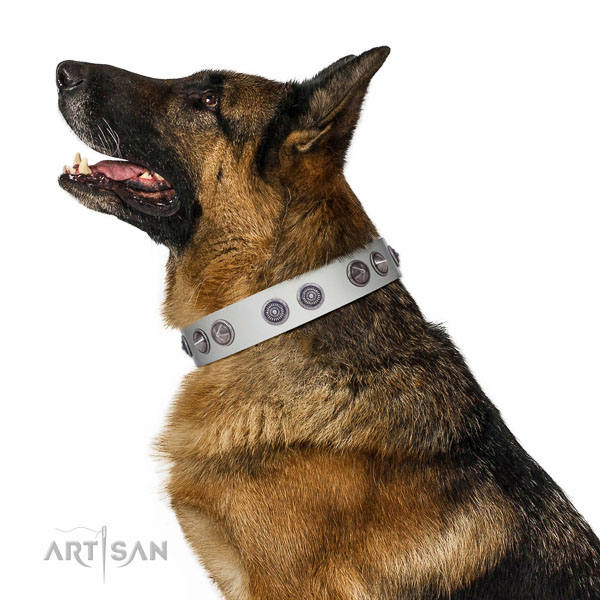 Top quality leather collar for owners who care