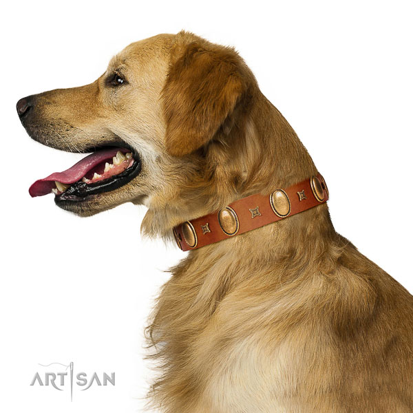 Wear-proof leather Golden Retriever collar for
long service term