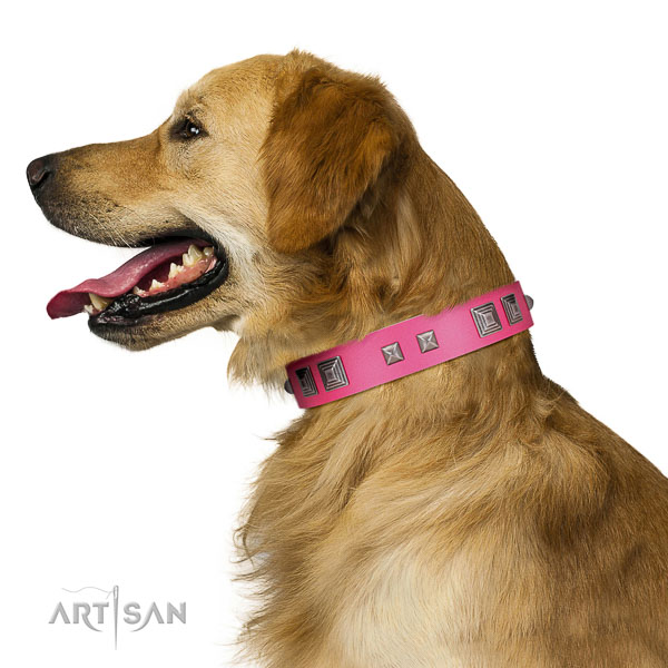 Extraordinary walking pink leather Golden Retriever
collar with cool decorations