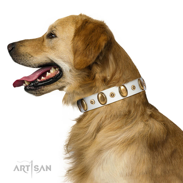  Comfortable Golden Retriever Collar for Daily
Activities