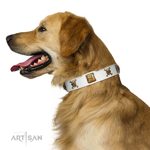 Designer white leather Golden Retriever collar has
amazing look