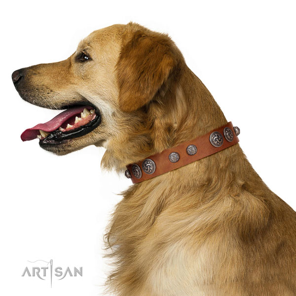 Fashionable Design Golden Retriever Collar of  Genuine Leather