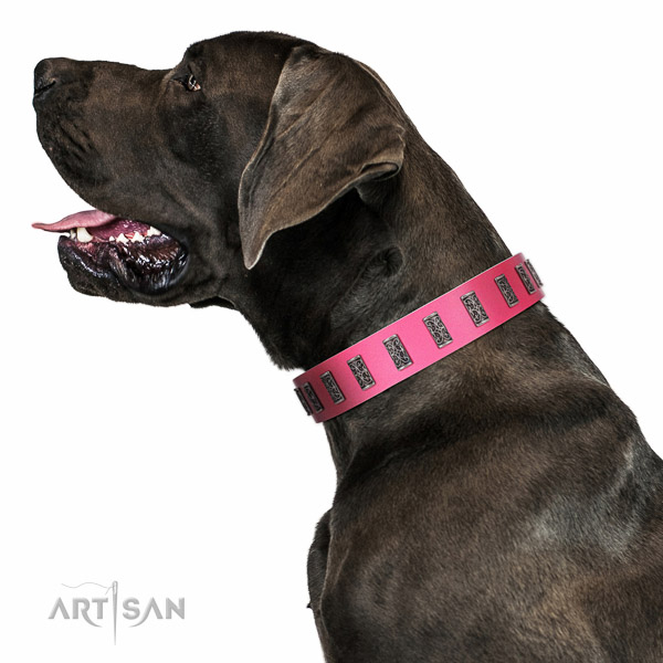 Walking top-notch quality walking leather Great Dane
collar