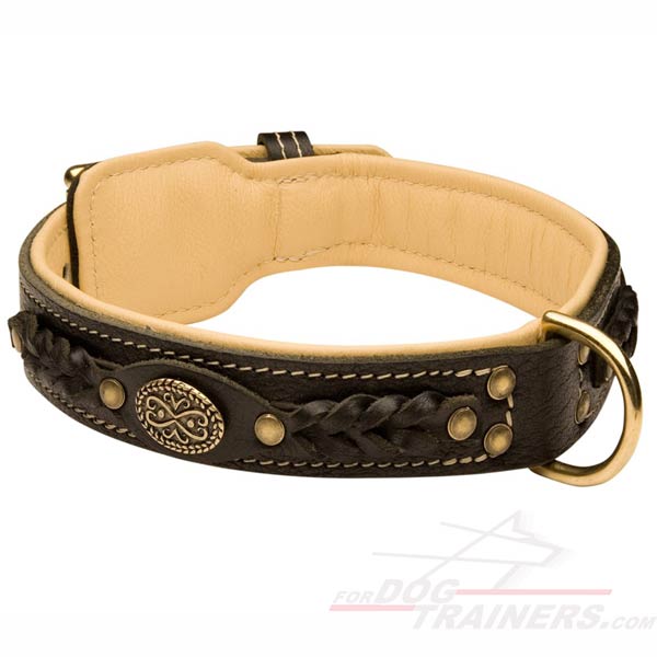 Strong Leather Dog Collar